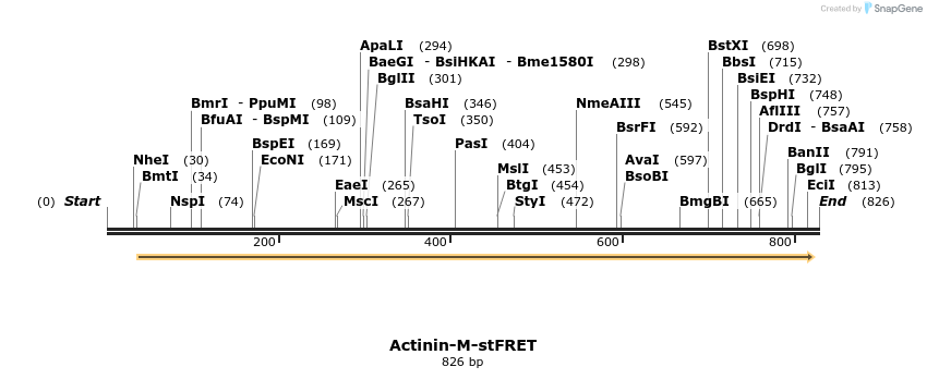 100012_map