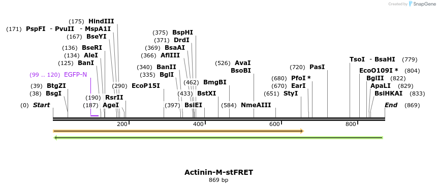 100014_map