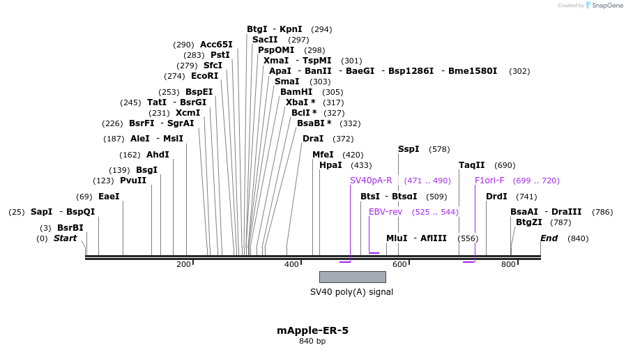 100037_map