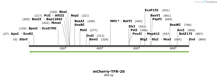100053_map