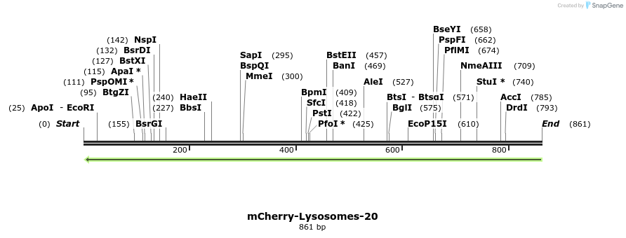 100054_map