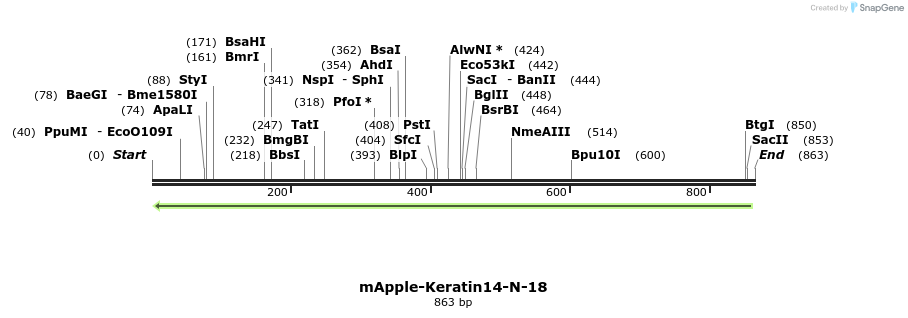 100056_map