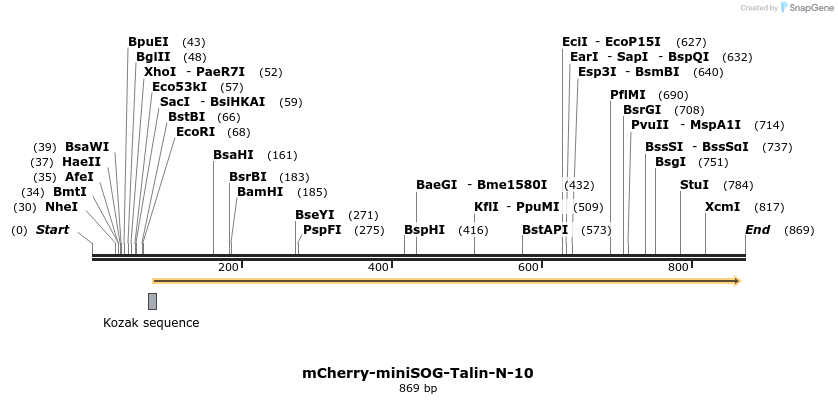 100057_map