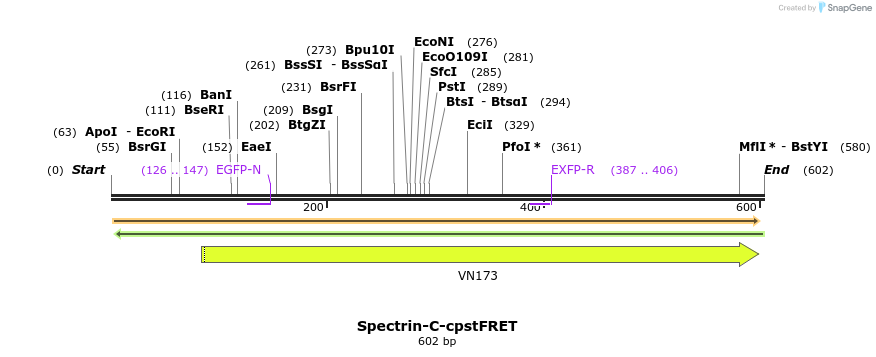 100061_map