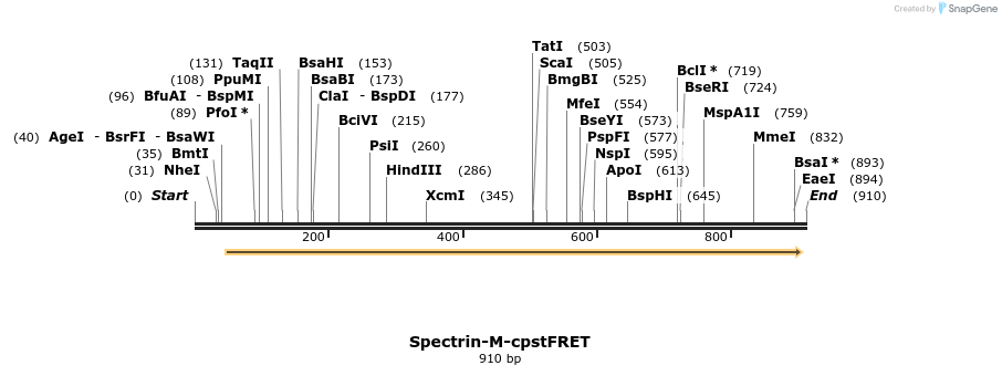 100067_map