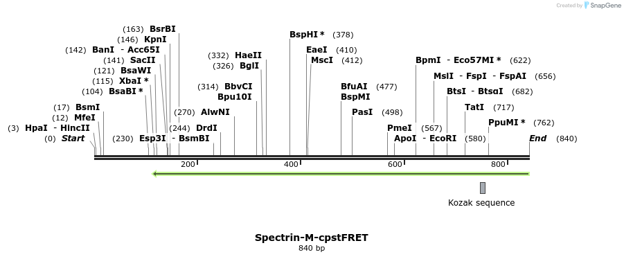100068_map