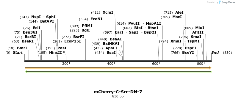 100071_map