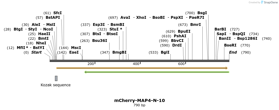 100074_map