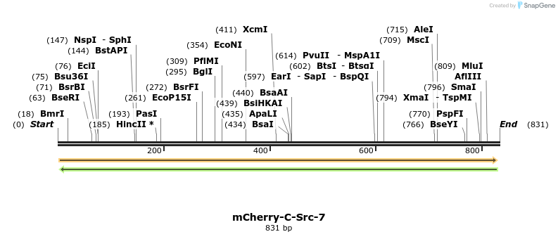 100076_map