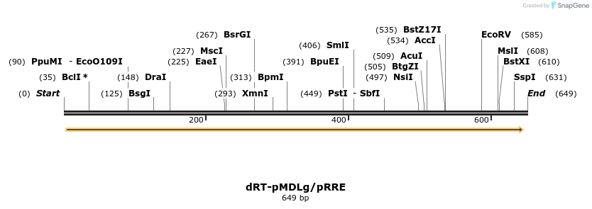 100085_map