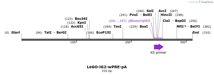 100096_map