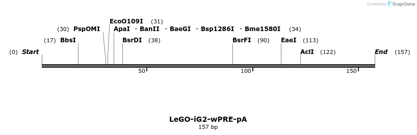 100097_map