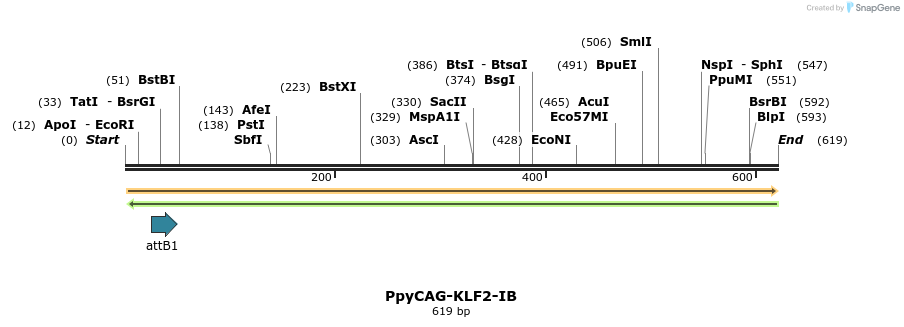 100104_map