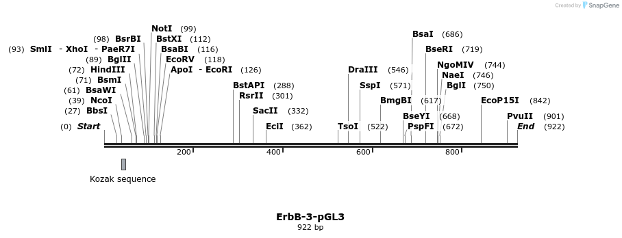 100107_map