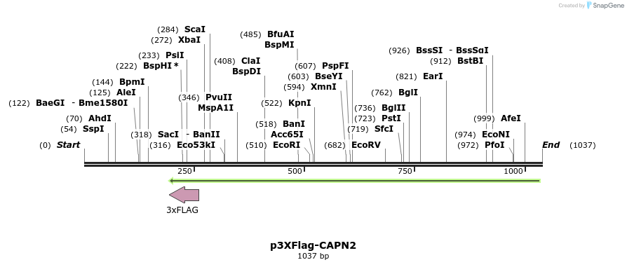 100113_map
