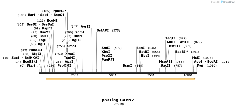 100114_map