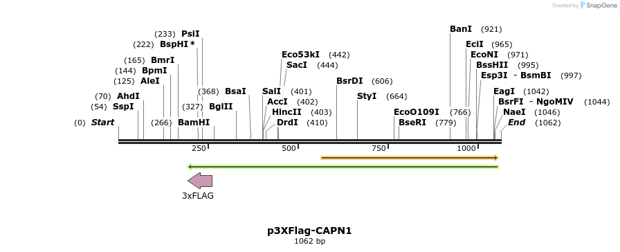 100115_map