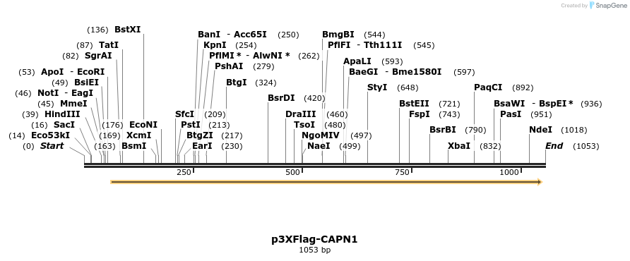 100117_map
