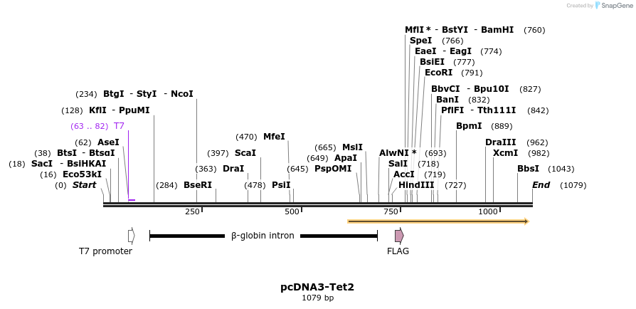 100120_map