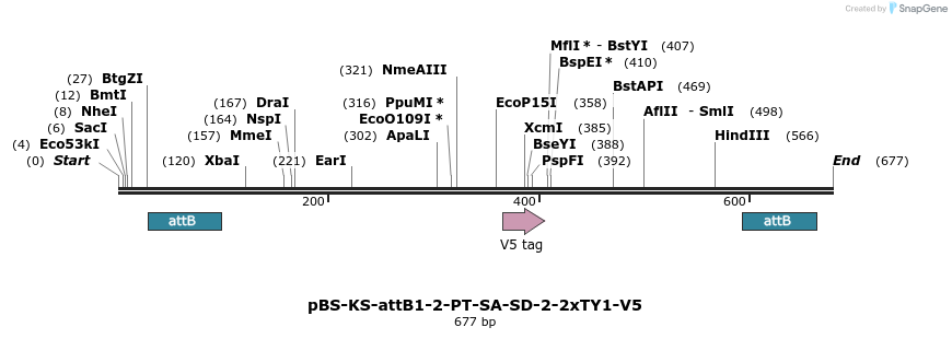 100136_map