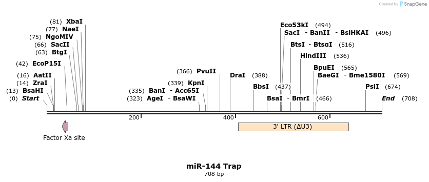 100161_map