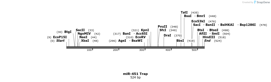 100164_map