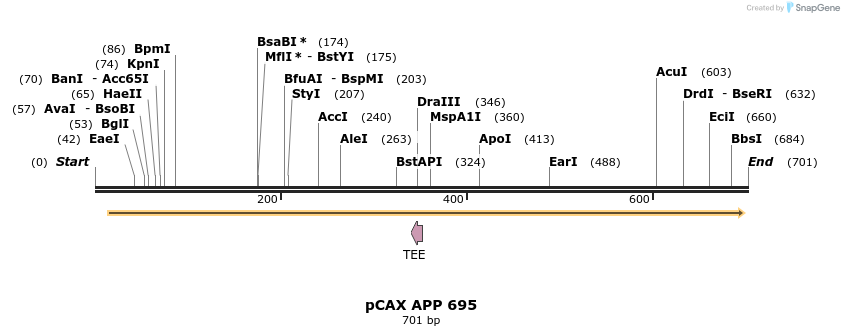 100184_map