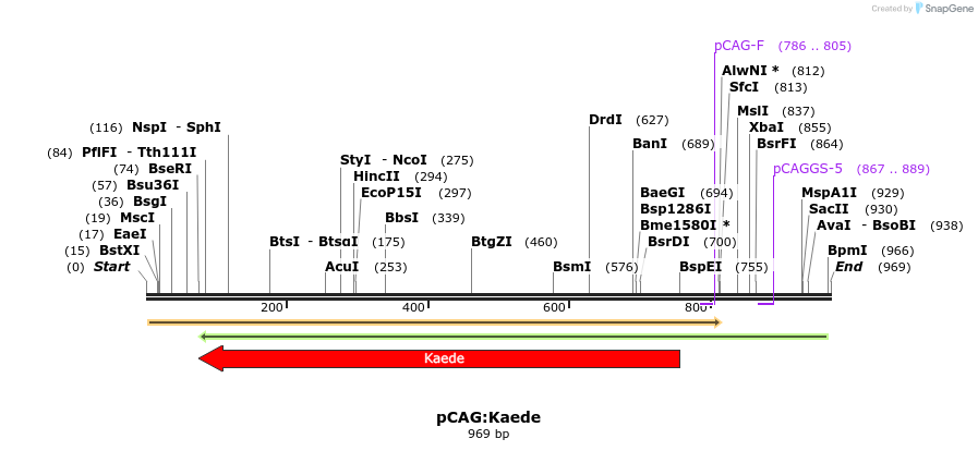 100193_map