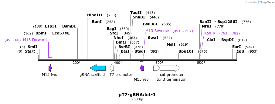 100194_map