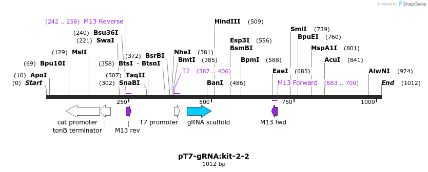 100200_map