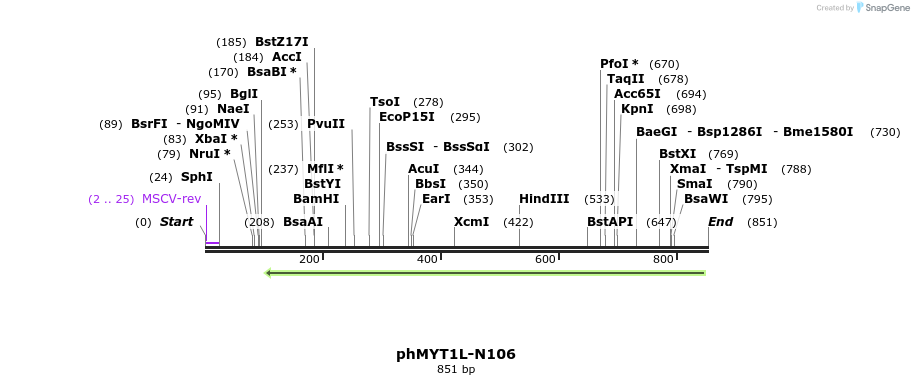 100202_map