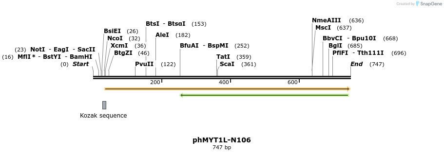100203_map