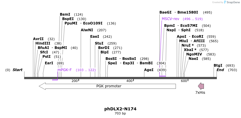 100204_map