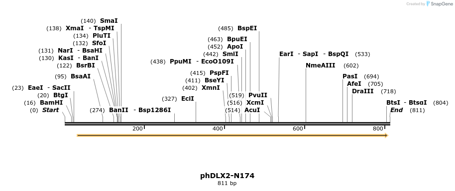 100205_map