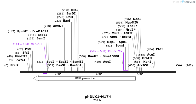 100206_map