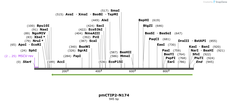 100208_map