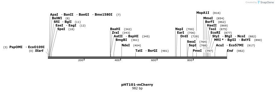 100212_map