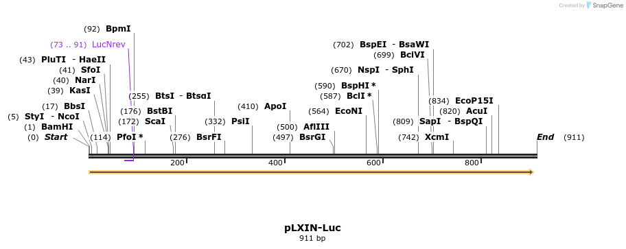 100215_map