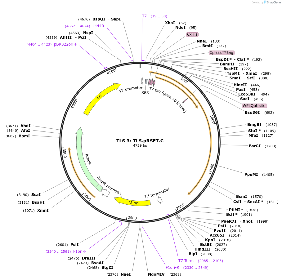 10022_map