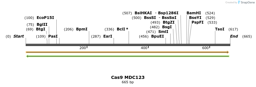 100222_map