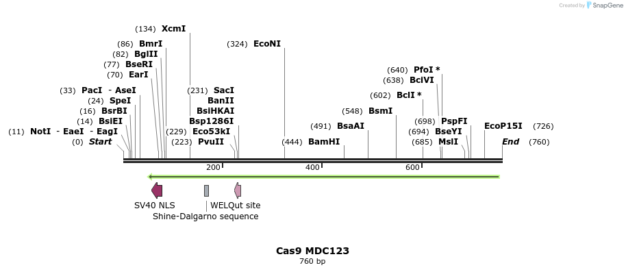 100226_map
