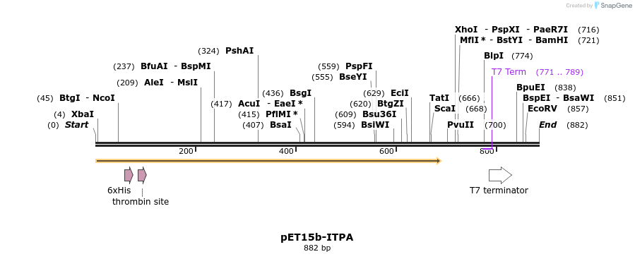100233_map