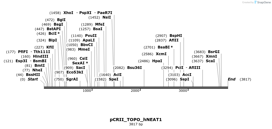 100246_map