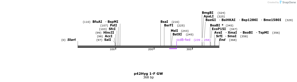 100251_map