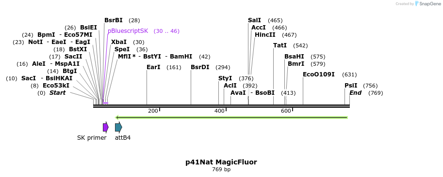 100253_map