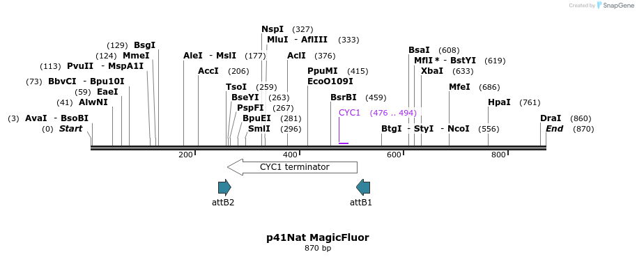 100254_map