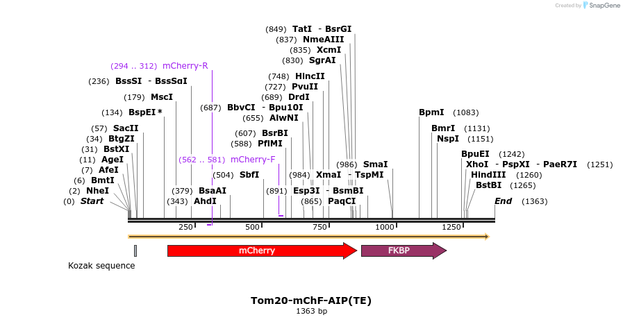 100260_map