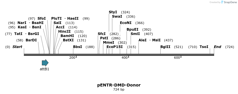 100265_map