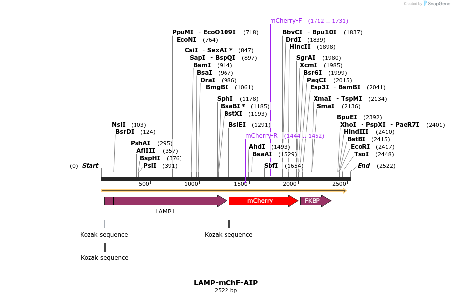 100266_map