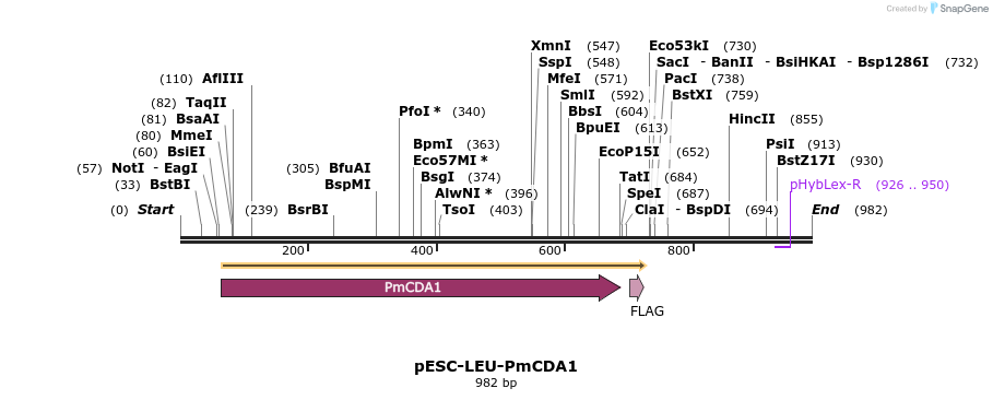 100275_map